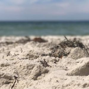 Meet your Posher, Meredith